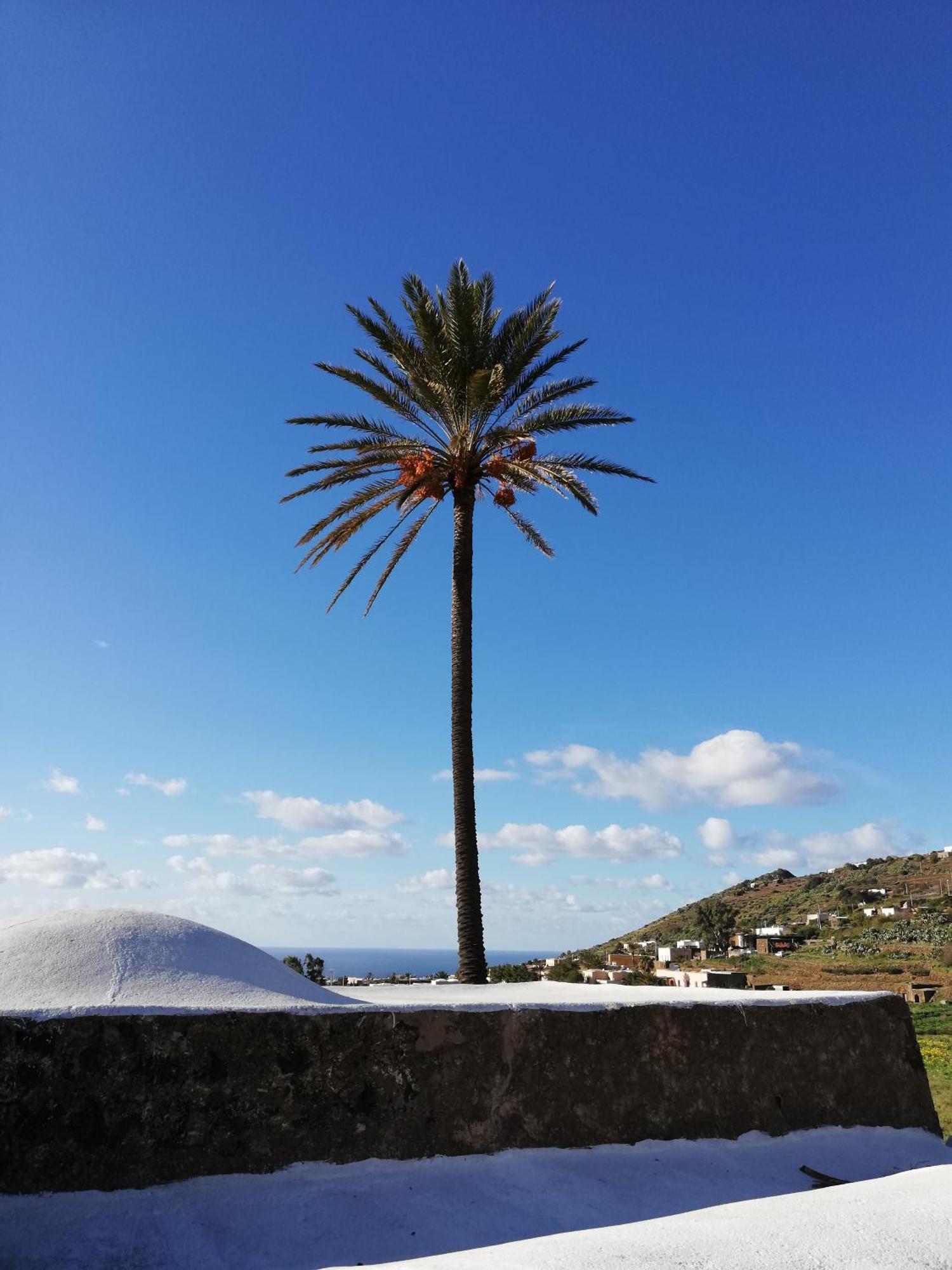 Vila Il Mulino Di Scauri Scauri  Exteriér fotografie